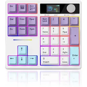 X BOYI TD31Pro Mechanical Number Pad,30  Hot Swap  BT5.0/2.4GHz/Type-C Wired Numeric Keypad Programmable RGB Gaming Numpad Keyboard with Knob Screen for Laptop/ (White-)