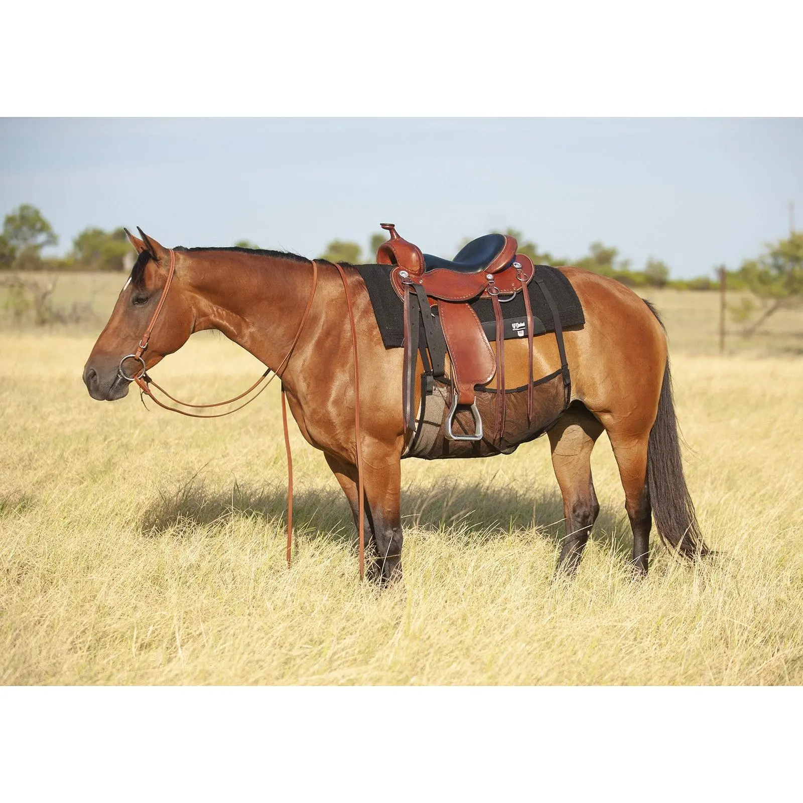Fly Sheet Belly Guard