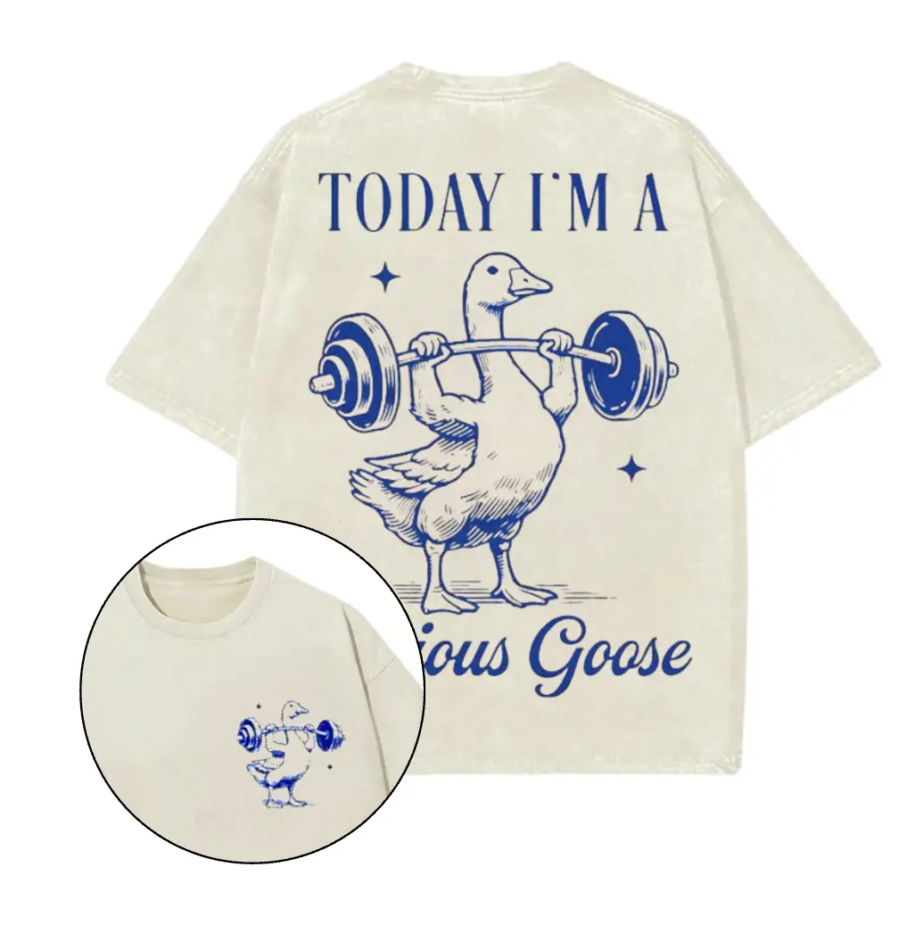 Today I'm a Serious Goose Printed Gym T-Shirt, Gym Shirt, Graphic Gym Shirt, Vintage Washed Tee Conton, Gym Shirt Women, For Men, Ful Size