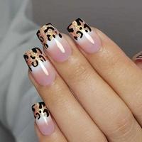 Elegant Leopard Print