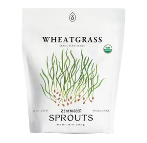Organic Wheatgrass Seeds (16 ounce)