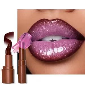 Darkme Easy Bag Nourishing Lip Gloss with Brown Lip Liner Lip Combo Sets, Solid Lip Gloss Jelly Lipstick High Shine, Nude Lip Kit with Lip Liner and Gloss for Women, Lightweight Long-Lasting Lipstick Makeup Gift