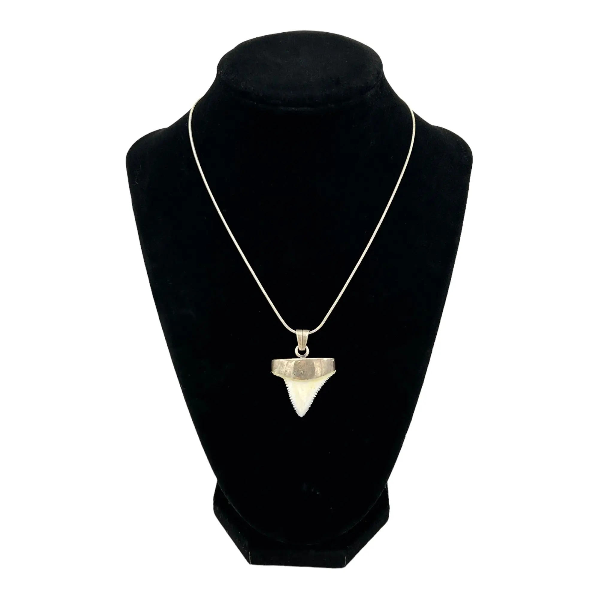 Great White Shark Tooth Necklace - Rare Jewelry Pendant