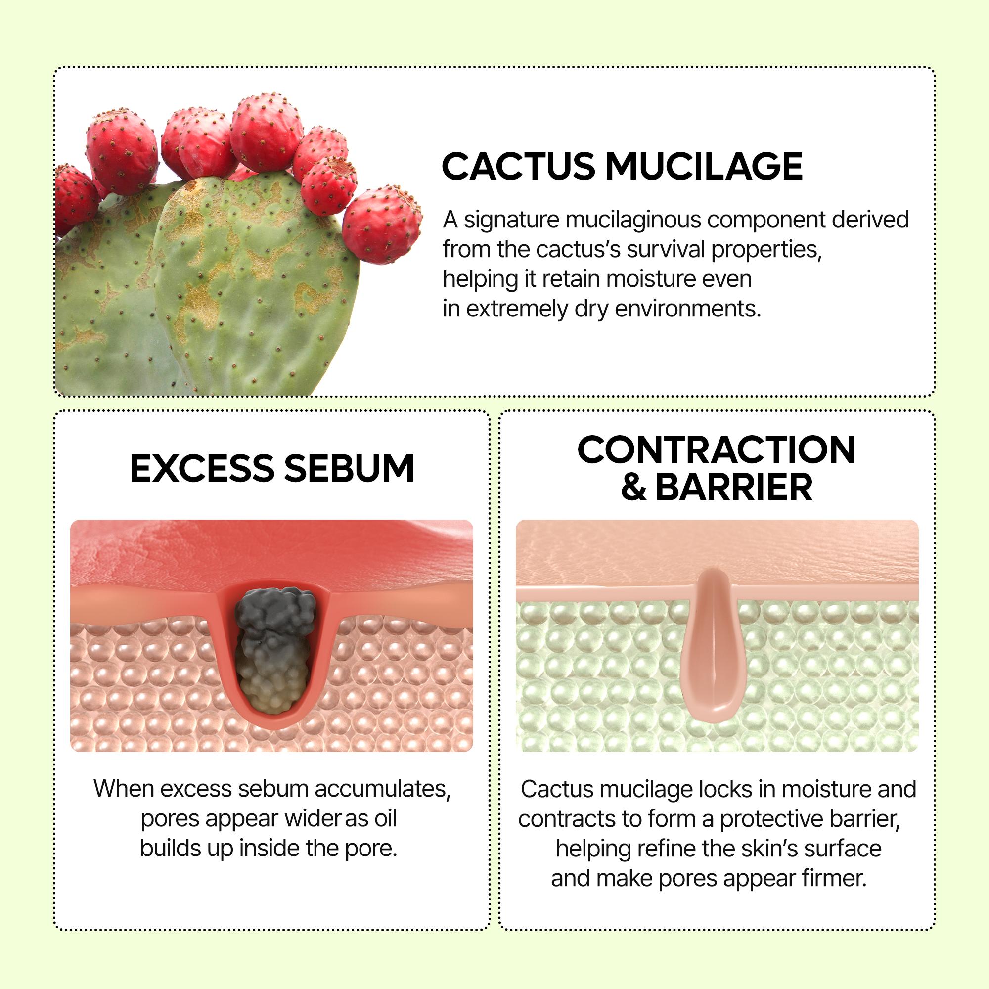 [Dr.Melaxin Official] CACTOX Pore Relief Serum with Pore Refining & Texture Smoothing for Hydrating Care