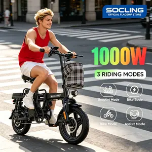 Foldable Z1 14" E-Bike, 1000W Efficient Motor 48V 15Ah Detachable Battery Up to 48 Miles, Dual Disc Brakes LED Dashboard, Remote Lock Electric Bike for Work & Outdoor Trips