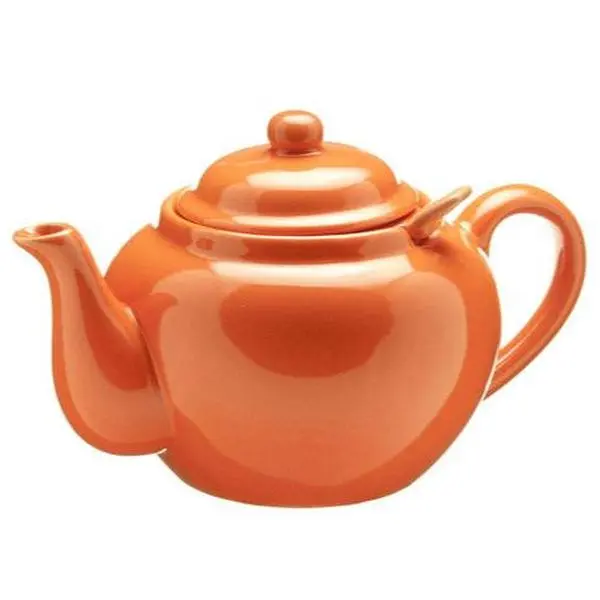 Ceramic infuser Teapot