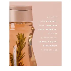 Shampoo Herbal es un producto con una formulación diseñada para fortalecer el cabello, controlar la grasa, reducir la caída y promover el crecimiento, combinando un coctel de aminoácidos con hojas de romero y trozos de jengibre. Este shampoo proporciona s