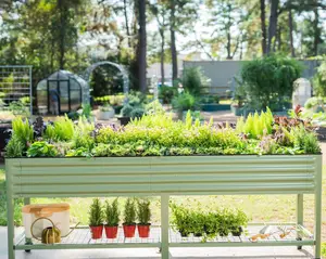 JP’s Elevated Garden Bed 2' x 8'