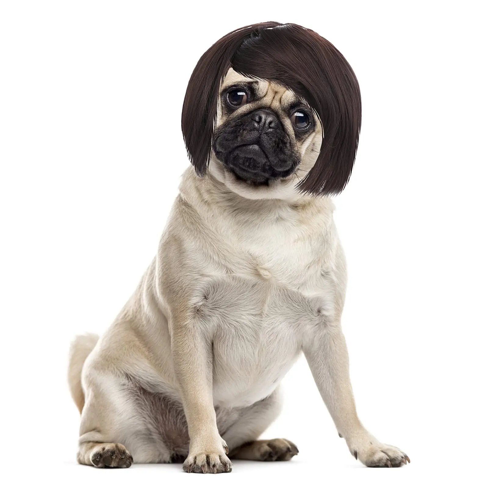 Dog Cosplay Funny Wig - Adjustable Drawstring Tie, 30-60cm Head Circumference, Trim-to-Fit Face, Chic & Fashion Halloween Pet Hair Accessory for Toy Breeds Party Costumes