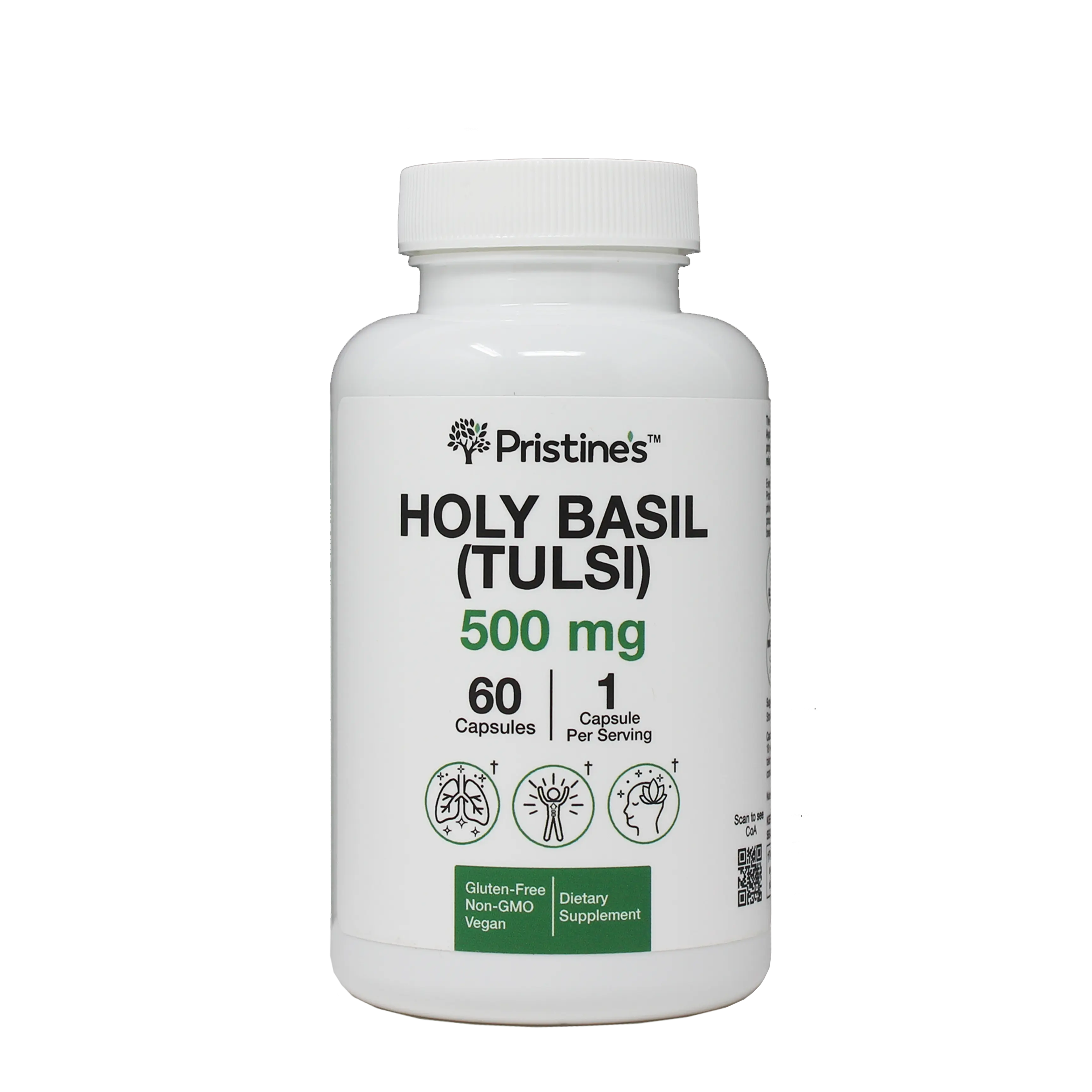 Holy Basil (Tulsi)