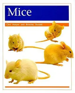 USED Book - Pets: Mice: Individual Student Edition Orange (Levels 15-16) by Rigby (Paperback) - english