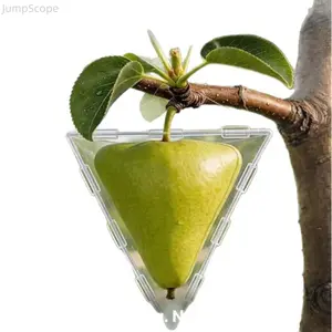 Transparent Fruit Growing Shaping Mold, Cube & Pyramid Shaped Plant Growth Forming Mold, Reusable Garden Tool for Unique Fruits Vegetables