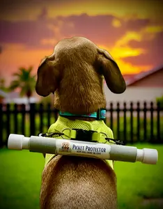 Picket Protector Classic Harness COMFORT Bundle