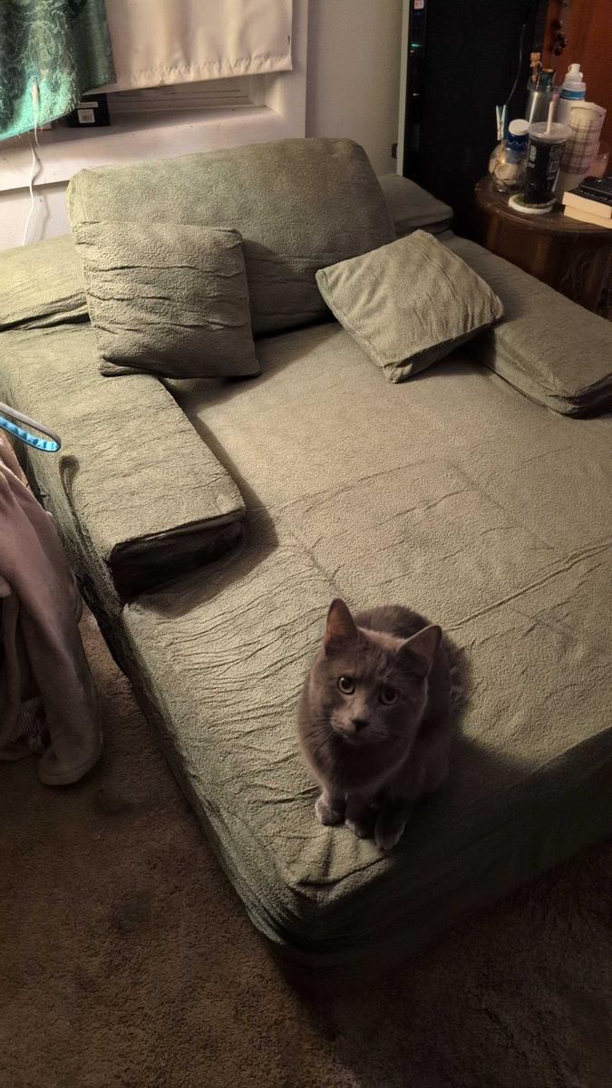 Item: Green Cloud Velvet, Single Sofa Bed