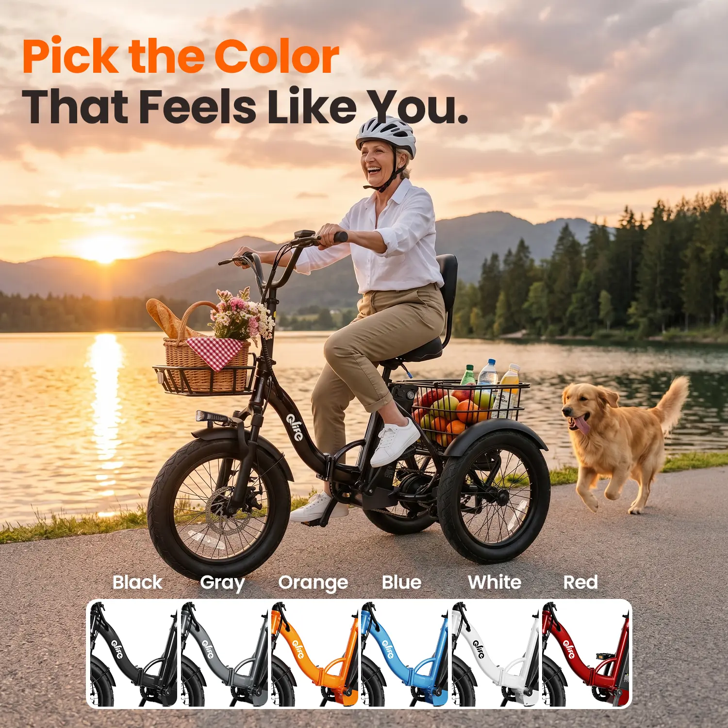 Qlife Triker Electric Bike for Adults, 1200W Power Brushless Motor Collapsible Size Ebike, 48V Removable Battery, 20-Inch Tire 3-Wheels Folding Tricycle, Up to 65 mi Ebikes