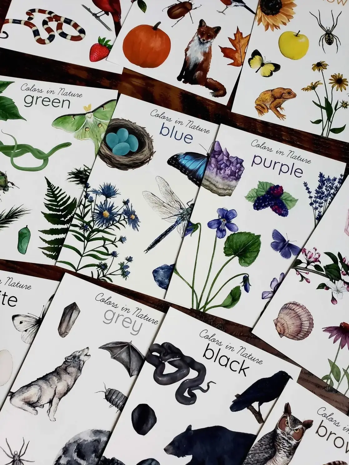Backyard Nature Art Cards, Colors in Nature