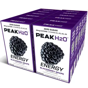 Juicy Mixes PeakH20 Electrolytes Powder Hydration Packets (BlackBerry)