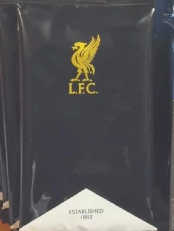 2 (TWO PACKS) - Liverpool FC FX 2025/26