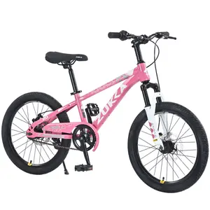 ZUKKA Mountain Bike,20 Inch MTB for Boys and Girls Age 7-10 Years,Multiple Colors