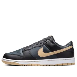 Nike Dunk Low 'Black Anthracite' DV0831-005