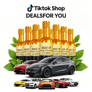 Car Quick Clean Kit