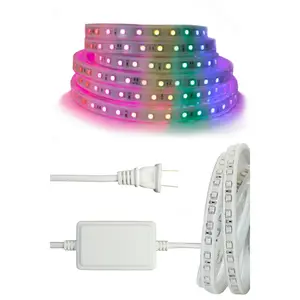 300 LED Indoor/Outdoor 16' Flexible Silicon Rope Light with Remote - RGB Warm White Rgb Waterproof Led