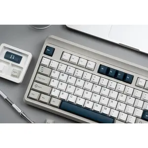 PBT Keycaps Set, Doubleshot 137 Key Caps,Cherry Profile Custom Keycap for 61/64/68/84/87/100/104/108 Mechanical Keyboard, Compatiability for 60 65 75 100 Percent Keyboads (White Grey Blue)