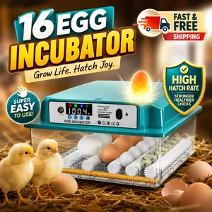 16-Egg Automatic Digital Incubator with Auto Egg Turner & Intelligent Temperature Control