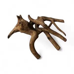 Spiderwood 7-8 Inch Natural Aquarium Hardscape for Aquascaping & Planted Tanks Lightweight Driftwood for Fish Shelter & Biofilm Growth Enhances Water Quality