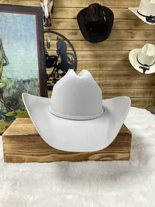 Stetson 6x Skyline Felt Hat -Silver Grey