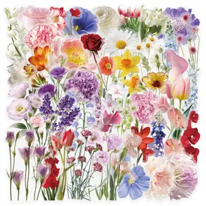 50pcs Plant and Floral Transparent PET Stickers, Office Supplies and Notebook Accessories, Suitable for Scrapbooks, Diaries, Laptops, Water Bottles, Cars, Etc., Featuring Designs Based on Beliefs.