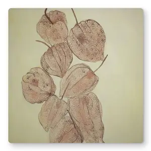 Begin Home Decor C1MP1616E7Z4AD 16 x 16 in. Closed Ground Cherries - Floral Kitchen Metal Print Wall Art - Decor