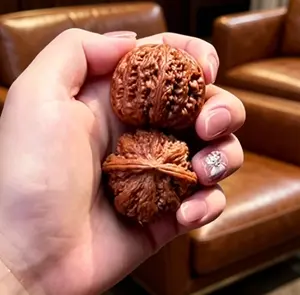 Unprocessed Raw Chinese Wenwan Walnut Baoding Hand Balls, Natural Oil Content Original Shape for Hand Play & Hobby Collection