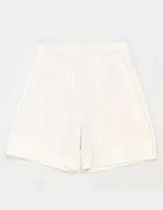 THE NORTH FACE Evolution Simple Dome Mens Shorts