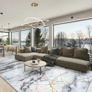 【Springtok】Abstract Marble Pattern Area Rugs Cozy Carpet For Living Room Bedroom Office Kitchen Home Decor