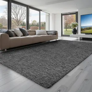 5x8ft Summervibes Soft Furry Shaggy Area Rug, Non-Shedding Non-Woven Slip-Resistant Dark Gray Decorative Rug for Living Room, Bedroom Modern Home Decor Aesthetic