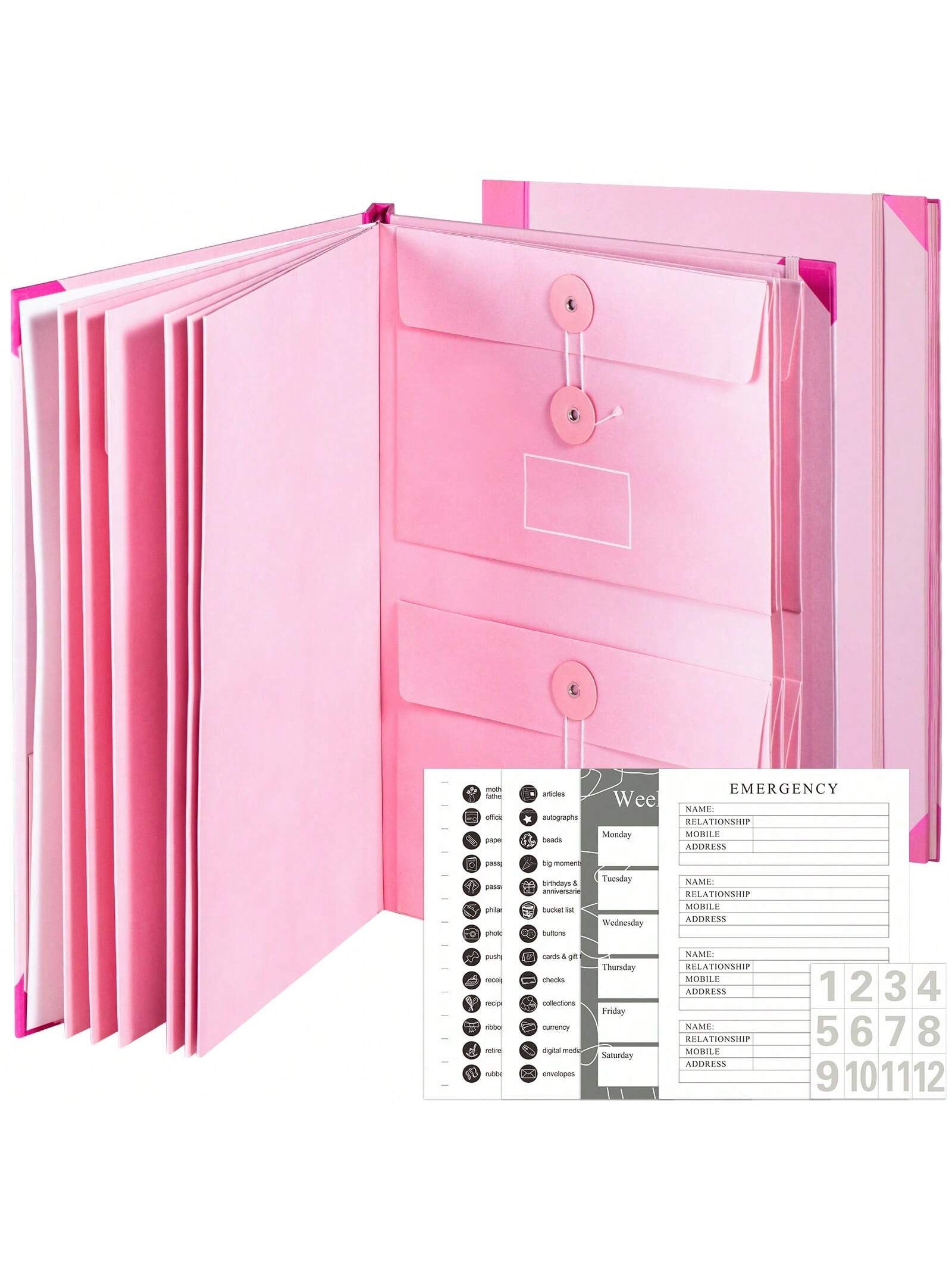 Important Document Organizer- Binder with Labels, Folders for Documents,File Folder Organizer with Pockets for Desk, Accordion Expanding File Folder for Home Office, Portfolio Binder for School and Medical Records(Blue&Pink&Yellow)