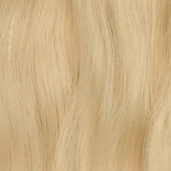 Hair Ponytail Color 613
