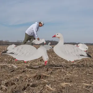 V2 Snow Goose Silhouettes