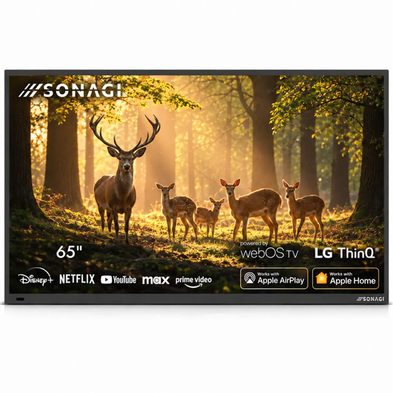 SONAGI Helios 65-Inch Full Sun Outdoor Smart TV – 4K UHD, 1000-Nit Anti-Glare Display, IP65 Weatherproof, LG webOS, Wi-Fi & Bluetooth