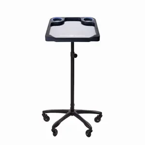 Braids & Freckles Black Magnetic Colorist 17x17" Tray for hair professionals