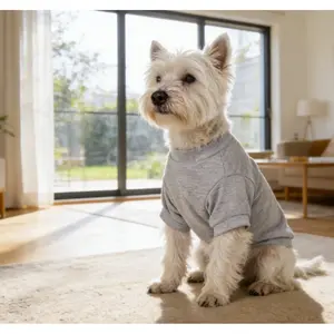 1 piece of solid color pet T-shirt, new summer style solid color shortsleeved comfortable and breathable pet T-shirt for cats, dogs, and small dogs, round neck T-shirt clothing, suitable for outdoor activities clothes dog products cool cat stuff pet stuff