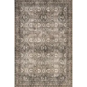 Hillstone Collection Aether Traditional Vintage Medallion Area Rug