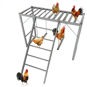 Metal Chicken Perch, Chicken Roosting Bars with Swing & Ladder for 8-10 Chickens, Backyard Farm Healthy Enrichment Playground, Applicable to Backyard, Farms