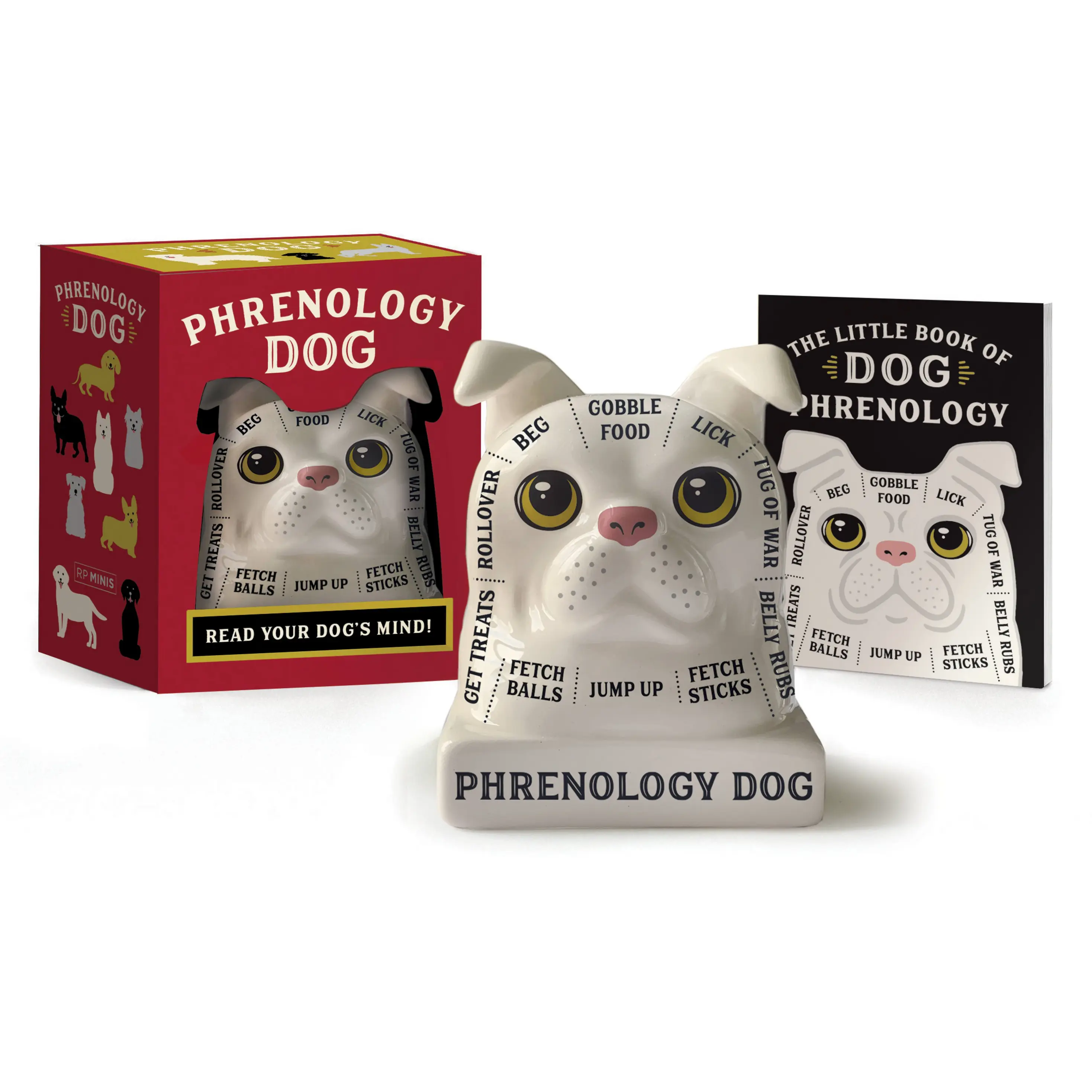 Phrenology Dog by RP Minis [Novelty Gift]