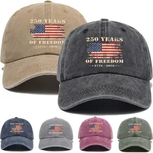 Distressed Print  Cap, Unisex Autumn/Winter Casual Sports Snapback Hat