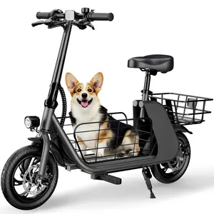 Windhorse C2 CARGO Electric Bike - 450W Motor, 20 Miles Range & Detachable Storage!