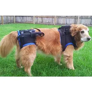 The Walkabout Harness Front and Rear Combination Harnesses