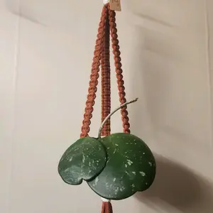 Red Flat-Style Macrame Plant Hanger with Gold Ring for 2 Inch Pots - Decorative Rope Hanging for Home Decor