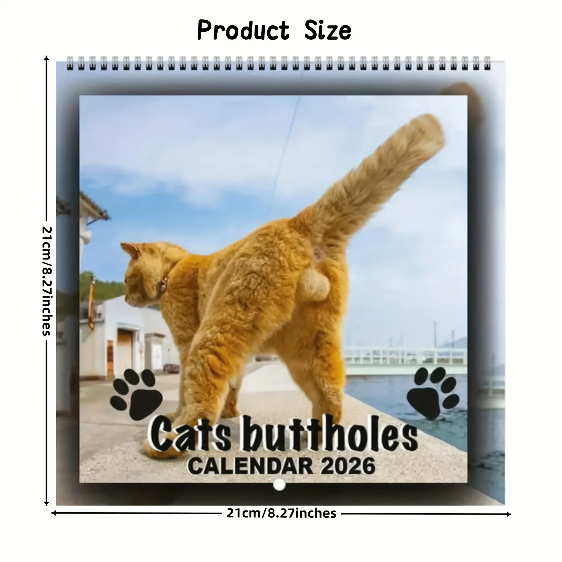 2026 Funny Cat Butt Calendar, Doodle Typography Calendar, Calendar Design - Monthly Planner with Cat Illustrations, Perfect Gift for Cat Lovers, Ideal for Home & Office Use, 12-Month Paper Calendar with Dry Wipe Feature